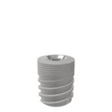 CL-H1-600-080  (Ø6.0*L8.0) 