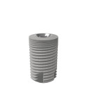 CL-S1-600-100  (Ø6.0*L10.0) 